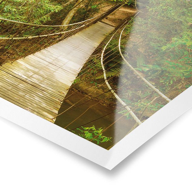 Billeder 3D Jungle Bridge