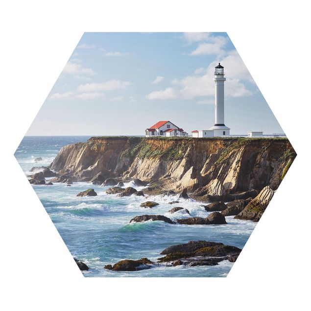 Billeder natur Point Arena Lighthouse California