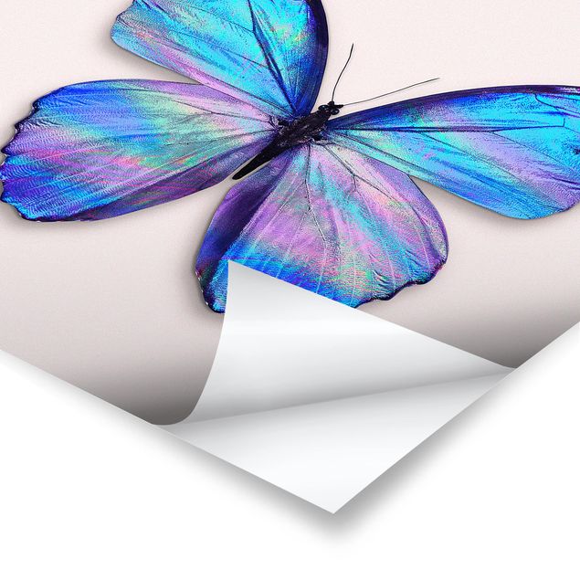 Billeder kunsttryk Holographic Butterfly