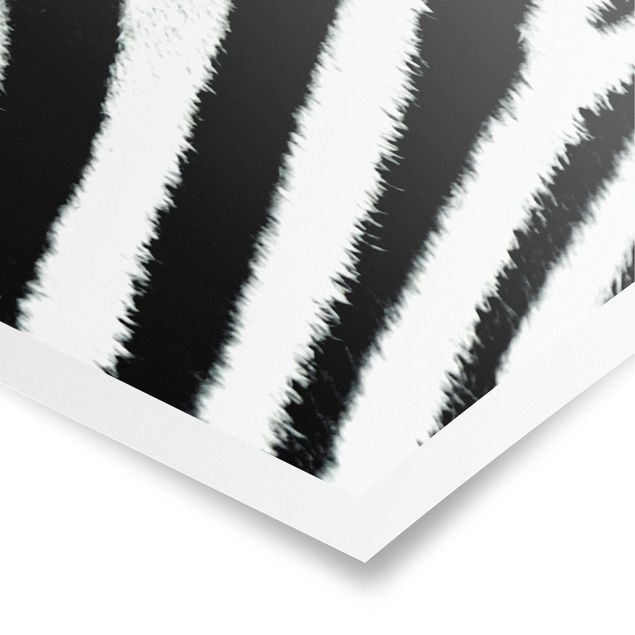 Billeder mønstre Zebra Crossing