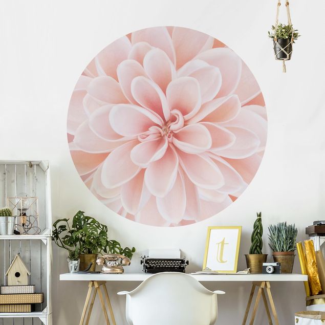 Blomster tapet Dahlia In Pastel Pink