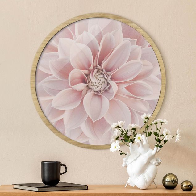 Indrammede plakater blomster Dahlia In Powder Pink