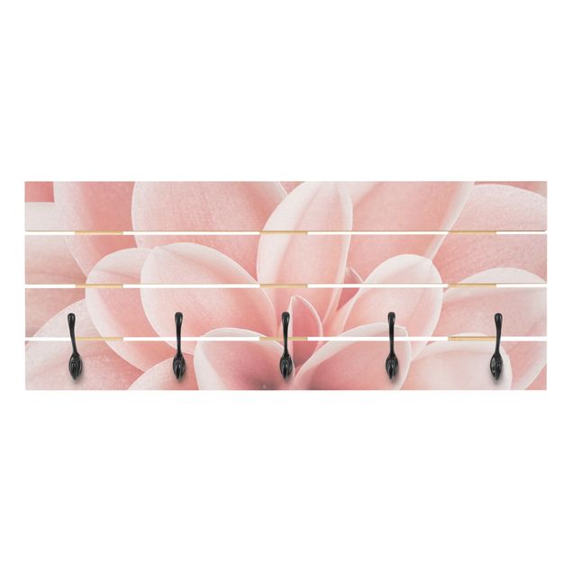 Knagerækker lyserød Dahlia Pink Petals Detail
