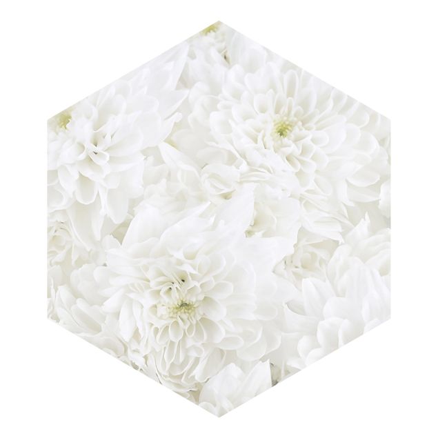 Tapet Dahlia Sea Of Flowers White