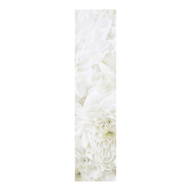 Panelgardiner blomster Dahlias Sea Of Flowers White