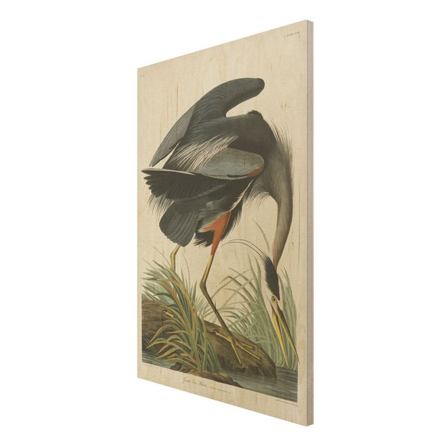 Billeder Vintage Board Blue Heron