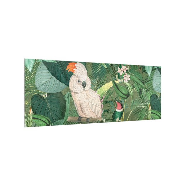 Stænkplader glas Vintage Collage - Cockatoo And Hummingbird