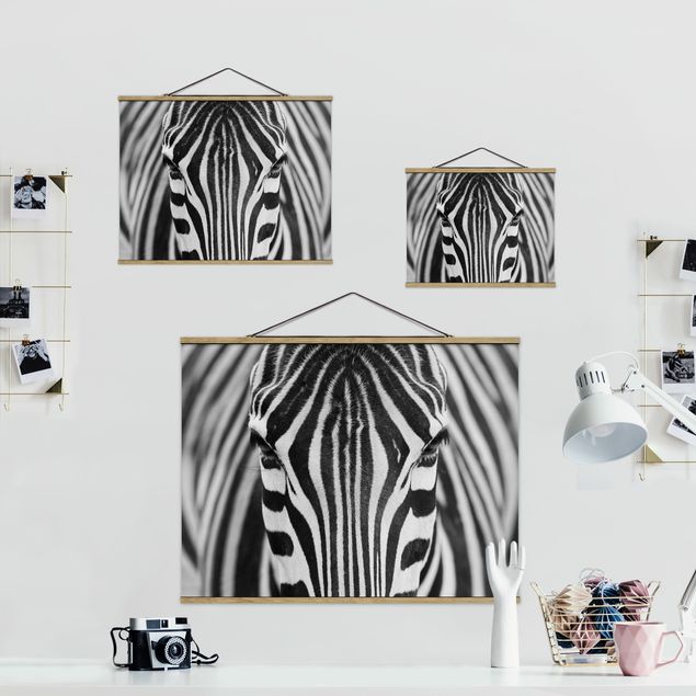 Billeder sort og hvid Zebra Look
