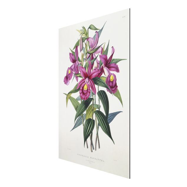 Kunst stilarter Maxim Gauci - Orchid I