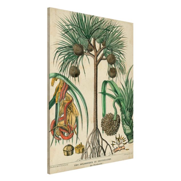 køkken dekorationer Vintage Board Exotic Palms I