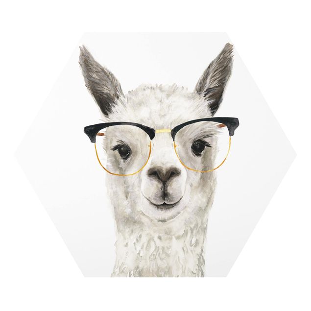 Forex Hip Lama With Glasses I