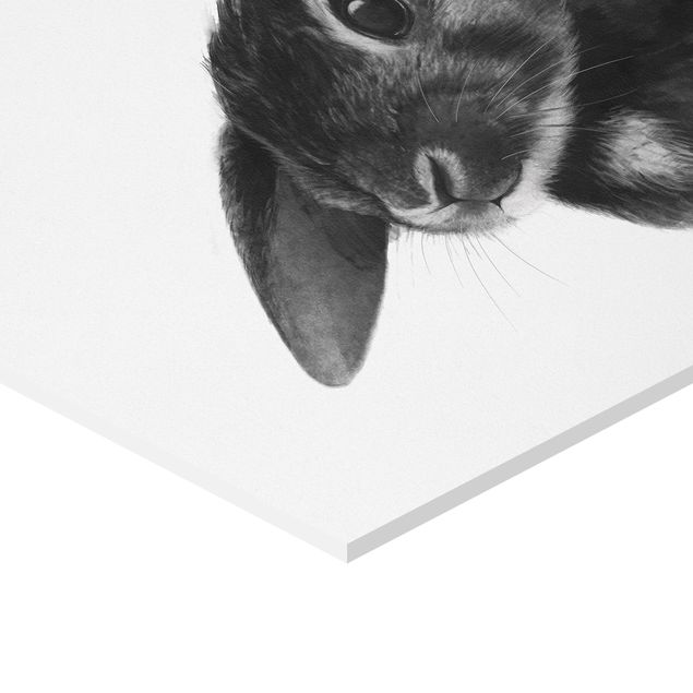 Sekskantede billeder Illustration Rabbit Black And White Drawing