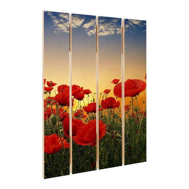Prints på træ Poppy Field In Sunset