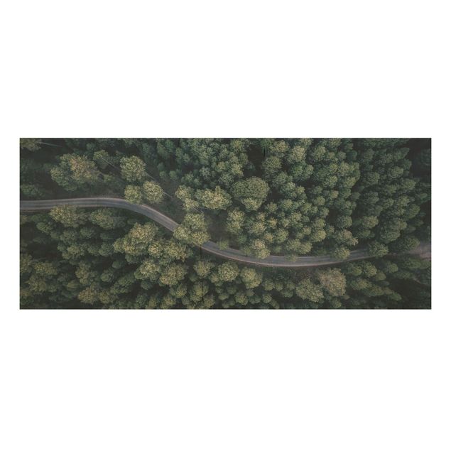 Prints på træ landskaber Aerial View - Forest Road From The Top