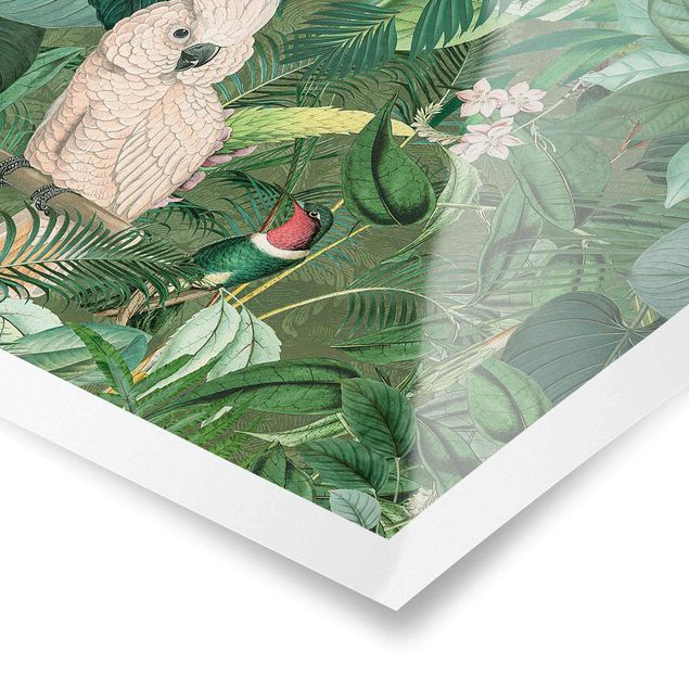 Billeder Andrea Haase Vintage Collage - Kakadu And Hummingbird