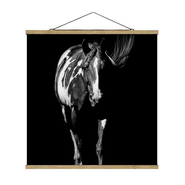 Billeder moderne Horse In The Dark