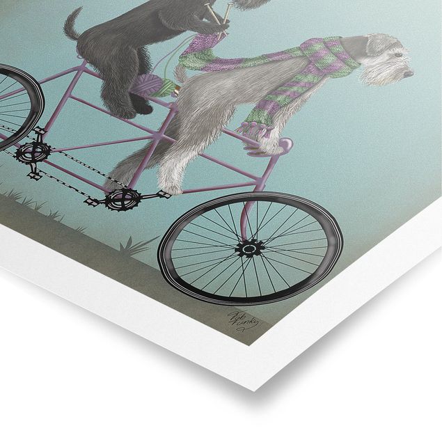 Plakater vintage Cycling - Schnauzer Tandem