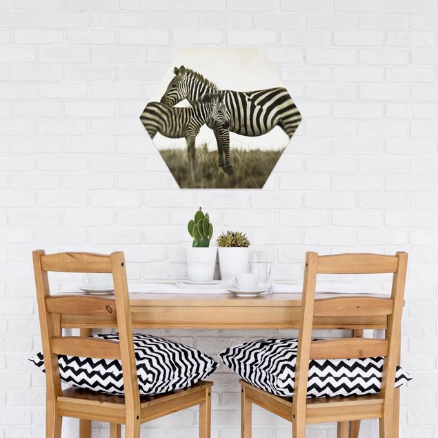 Billeder Afrika Zebra Couple