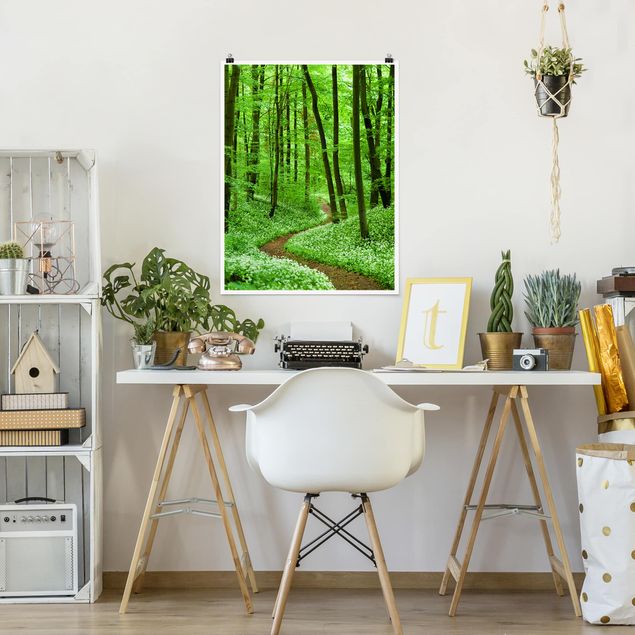 Billeder landskaber Romantic Forest Track