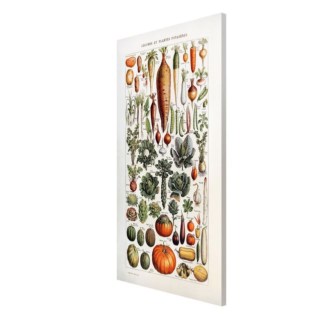 Billeder grøntsager Vintage Board Vegetables