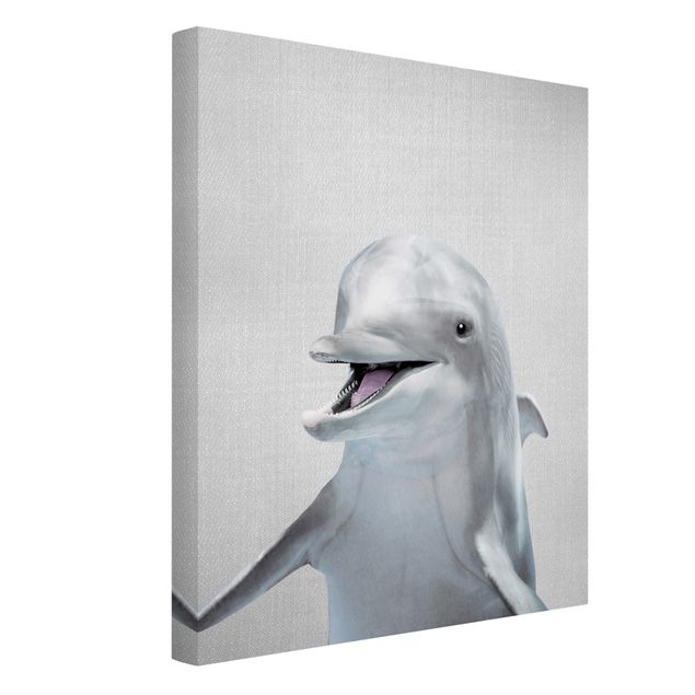 Billeder på lærred sort og hvid Dolphin Diddi