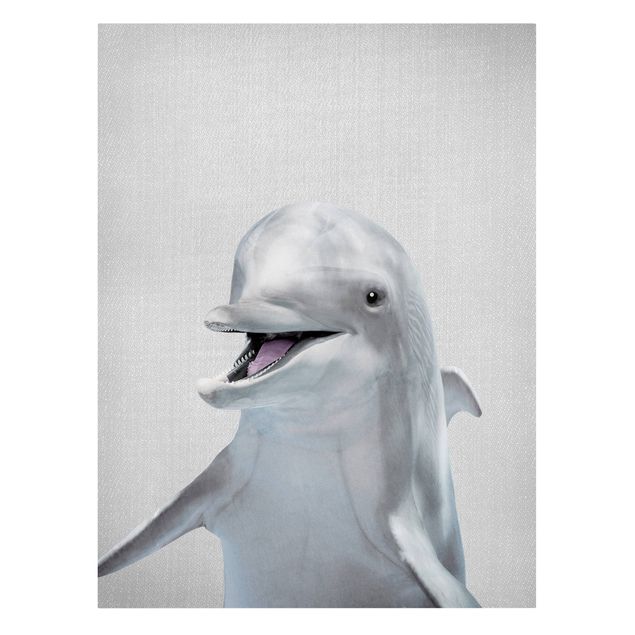 Billeder på lærred dyr Dolphin Diddi