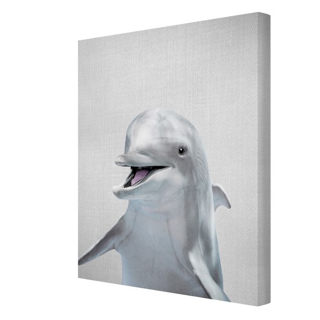 Billeder moderne Dolphin Diddi
