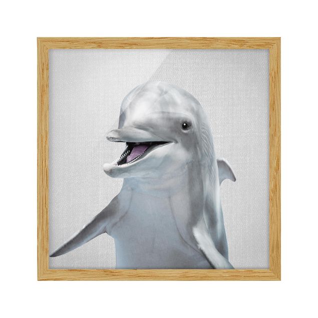 Indrammede plakater dyr Dolphin Diddi