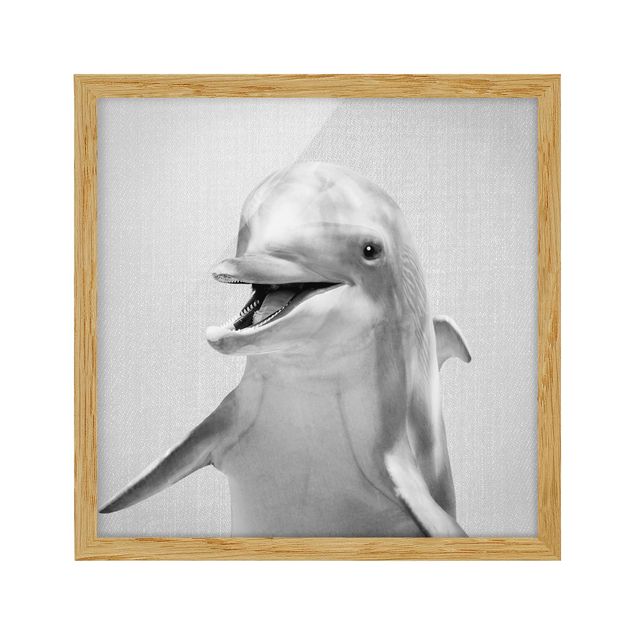 Indrammede plakater dyr Dolphin Diddi Black And White