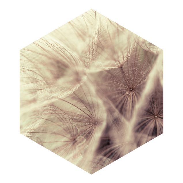 Tapet beige Detailed Dandelion Macro Shot With Vintage Blur Effect