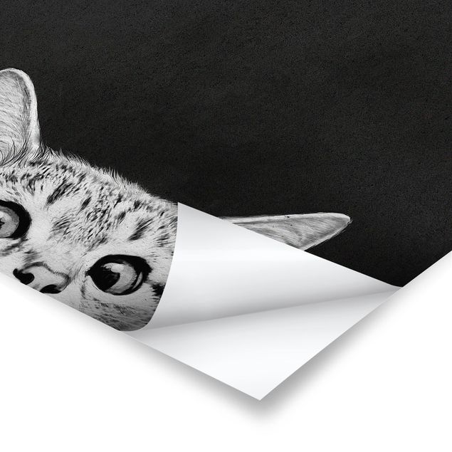 Billeder sort Illustration Cat Black And White Drawing