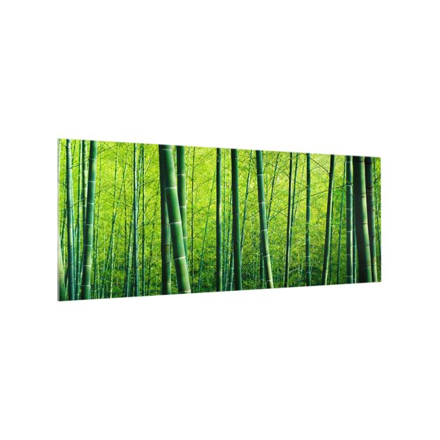 Stænkplader glas Bamboo Forest