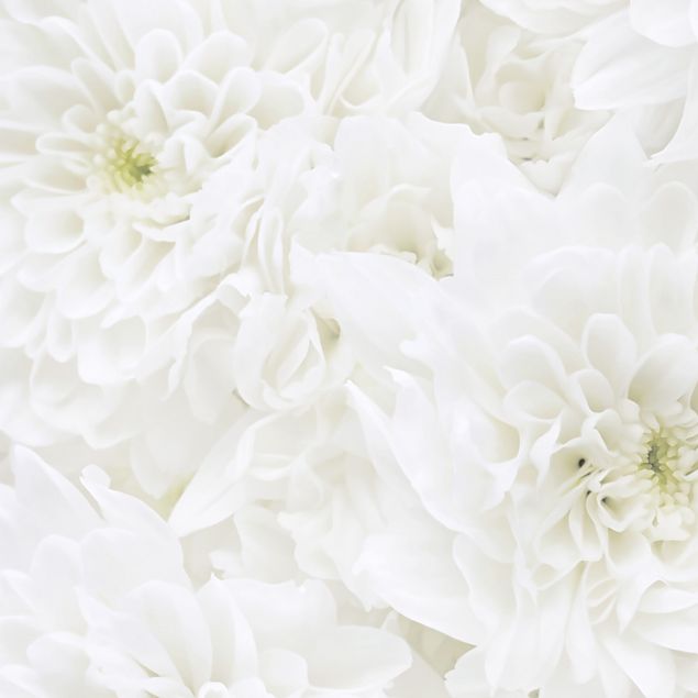 Selvklæbende folier hvid Dahlia Sea Of Flowers White