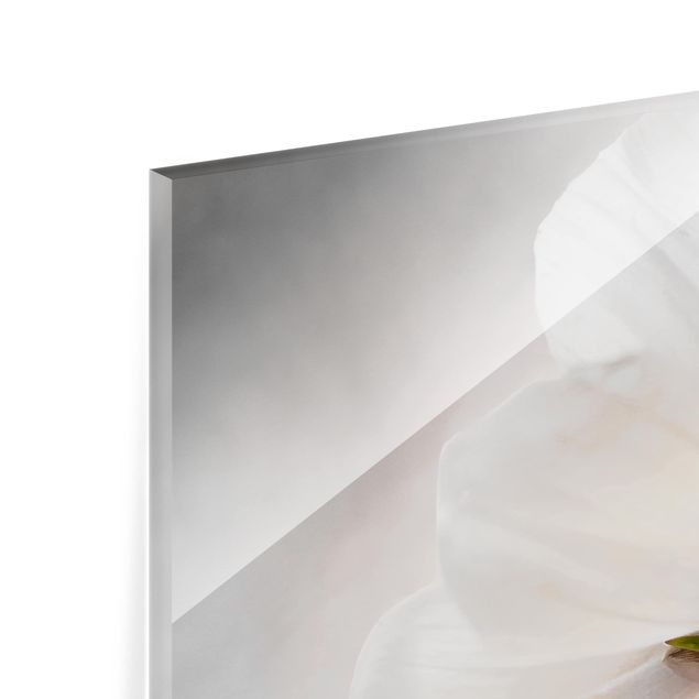 Glas Spritzschutz - Himmlischer Blütentraum - Quadrat - 1:1