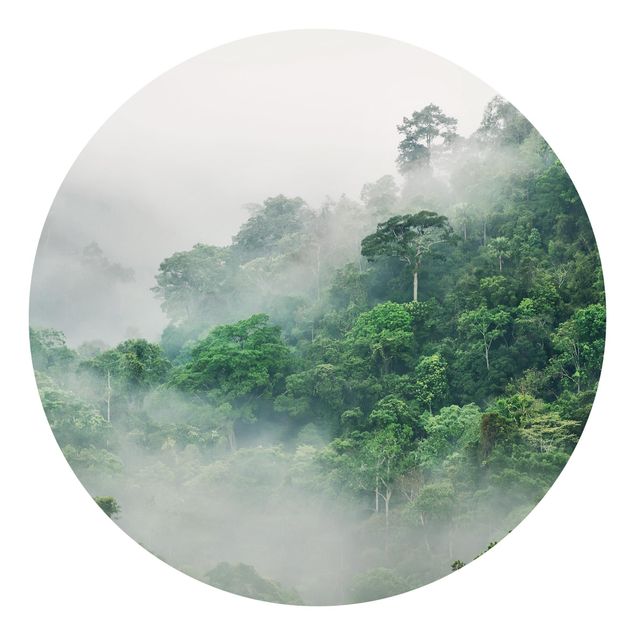 Fototapet landskaber Jungle In The Fog