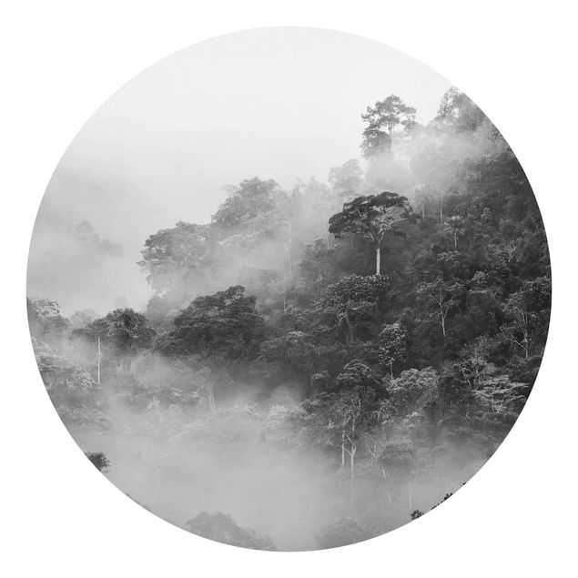 Fototapet sort og hvid Jungle In The Fog Black And White