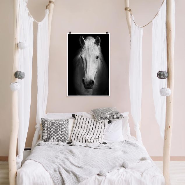 Plakater sort og hvid Dream Of A Horse
