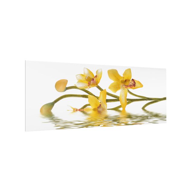 Stænkplader glas Saffron Orchid Waters