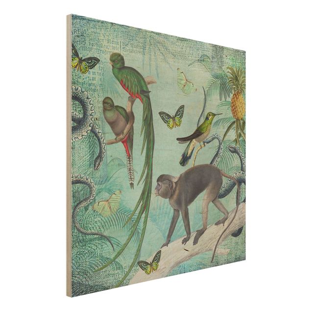 køkken dekorationer Colonial Style Collage - Monkeys And Birds Of Paradise