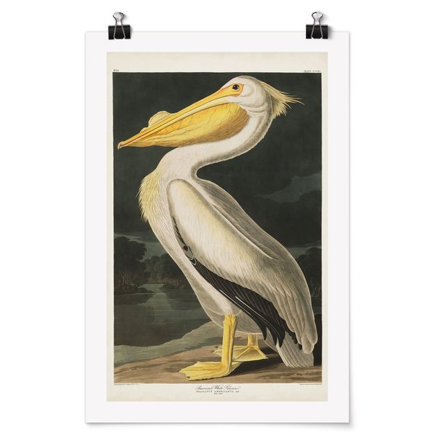 Billeder retro Vintage Board White Pelican