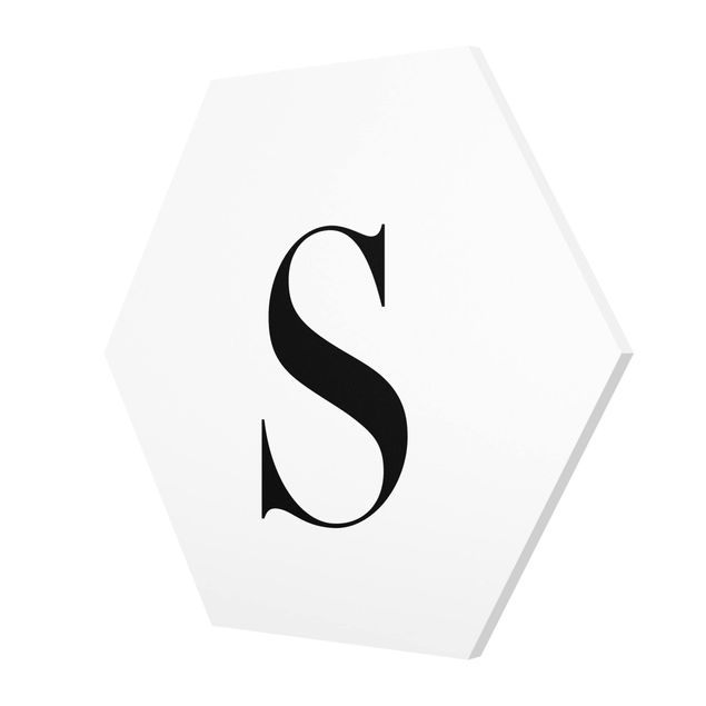 Billeder Letter Serif White S
