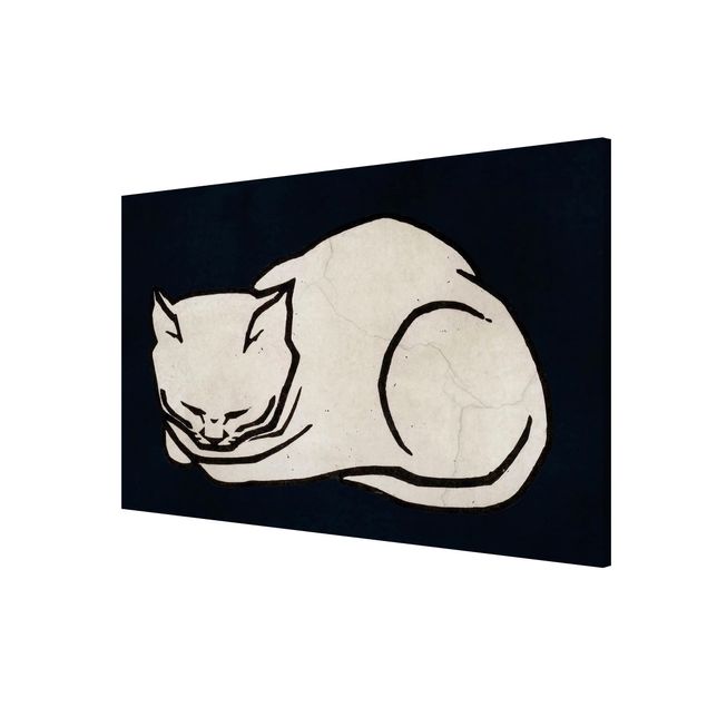 Magnettavler dyr Sleeping Cat Illustration