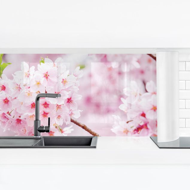 Stænkplader glas Japanese Cherry Blossoms