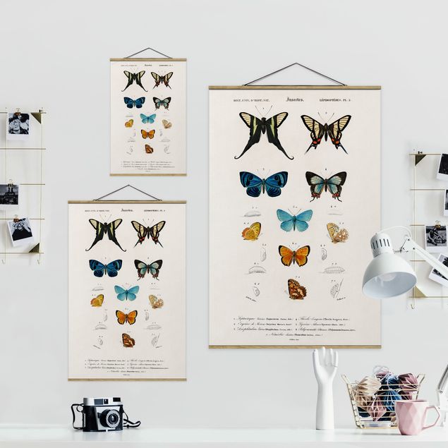 Billeder blå Vintage Board Butterflies I