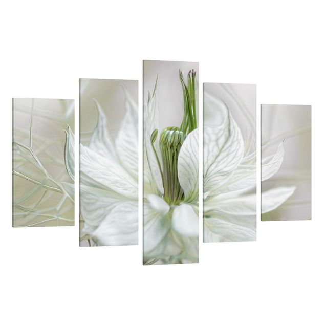 Billeder på lærred blomster White Nigella