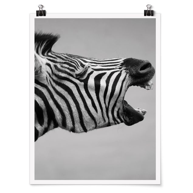 Plakater dyr Roaring Zebra ll