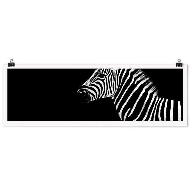 Plakater dyr Zebra Safari Art