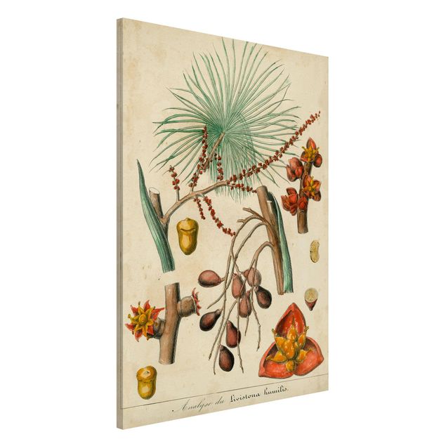 køkken dekorationer Vintage Board Exotic Palms III