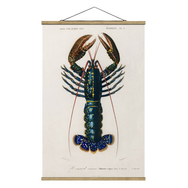 Billeder dyr Vintage Board Blue Lobster