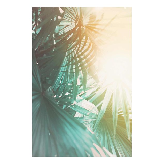 Glasbilleder blomster Tropical Plants Palm Trees At Sunset